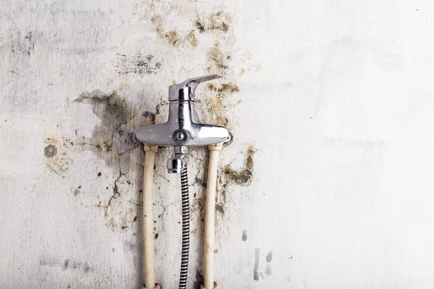 Water Damage Restoration in Falmouth, VA